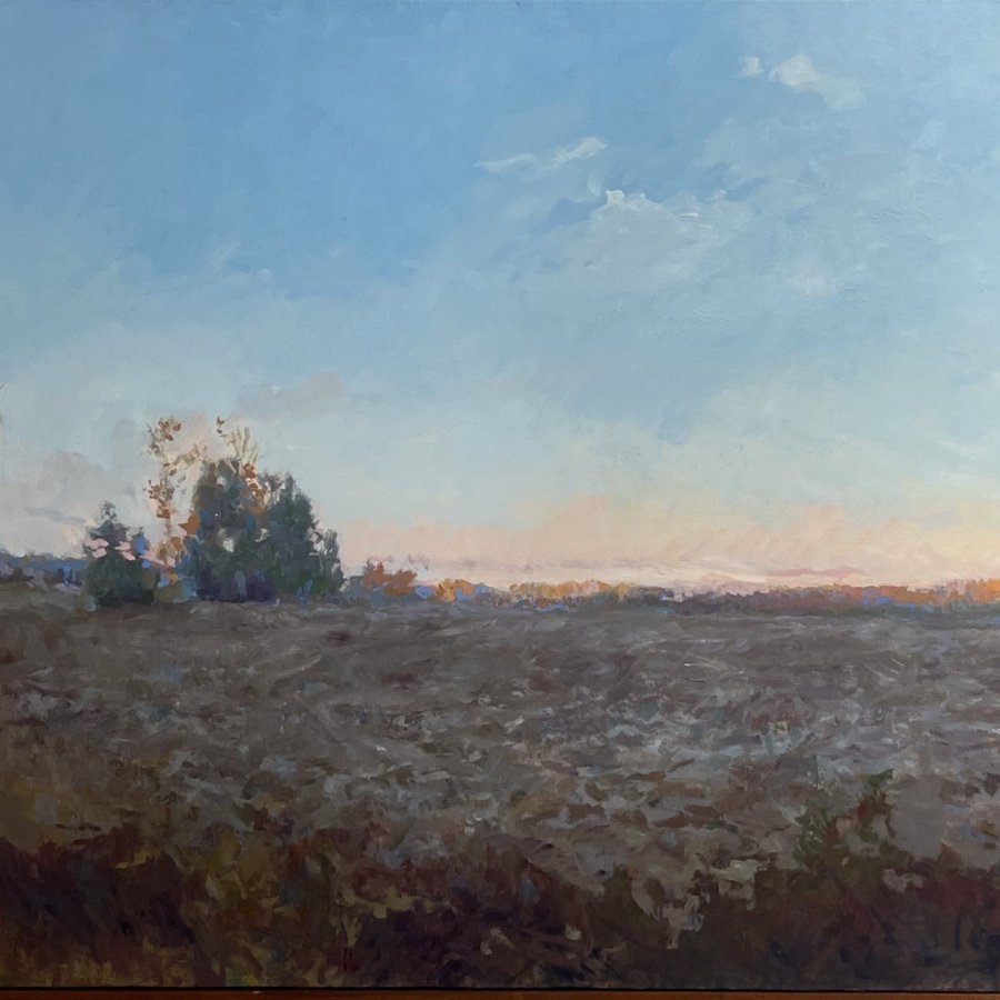 FIELD IN NOVEMBER, Peter Malarkey, oil on linen, 28 x 40 inches, copyright ©2024