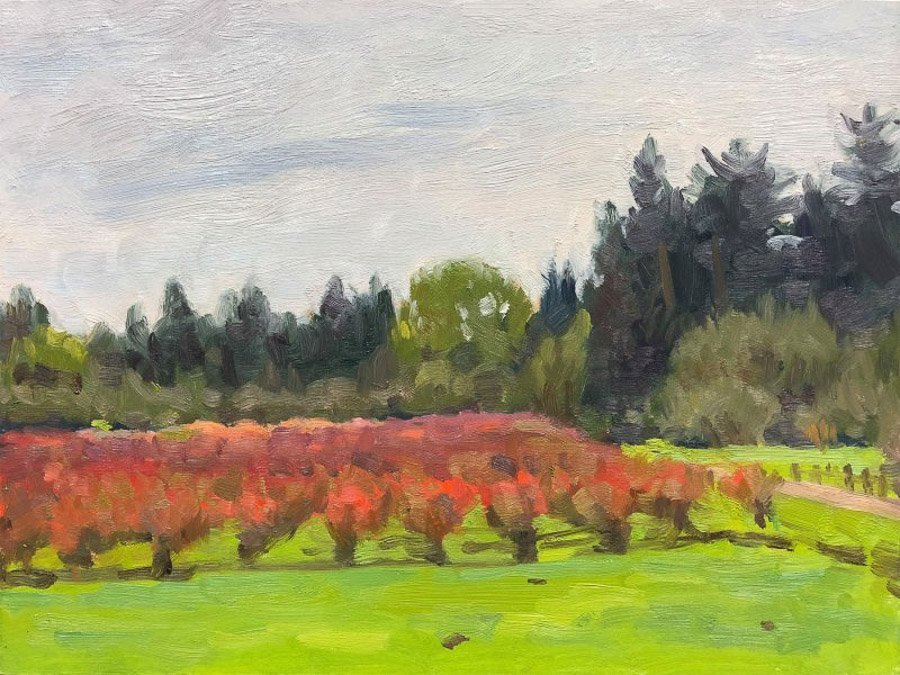 LARSEN LAKE BLUEBERRY FARM, oil on MDH panel, 9 x 12 inches, copyright ©2018